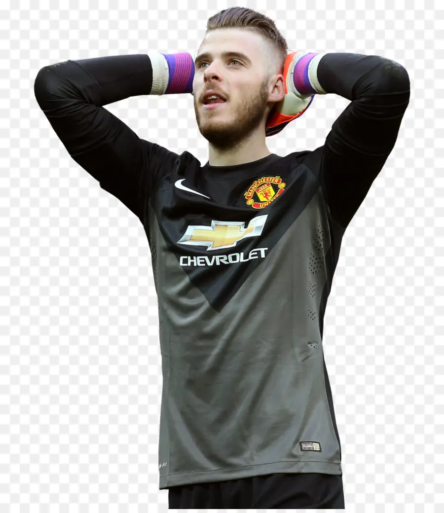 David De Gea，El Manchester United Fc PNG