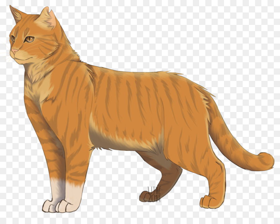 Gato，Mascota PNG