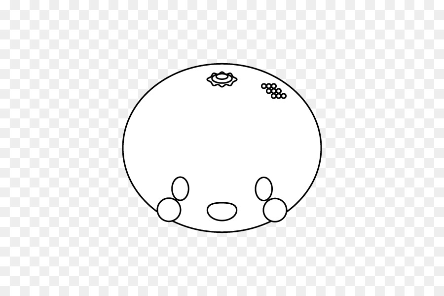 Dibujo，Círculo PNG