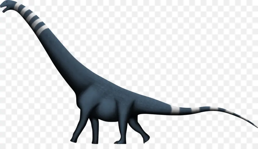 Puertasaurus，Dinosaurio De Tamaño PNG