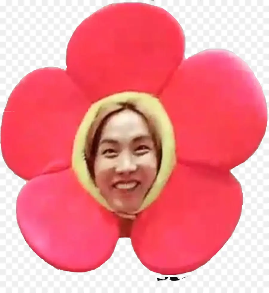 Bts，Flor PNG