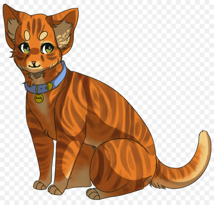 Gato De Dibujos Animados，Gato PNG