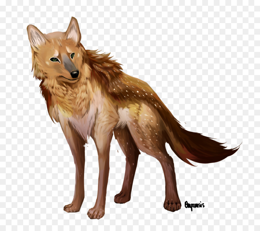 Coyote，Perro PNG