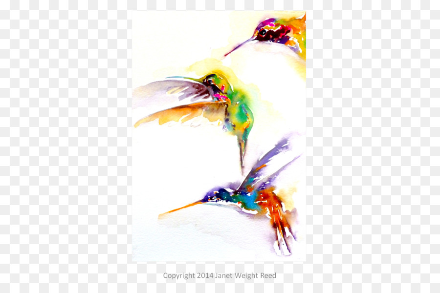 Colibríes Coloridos，Vuelo PNG