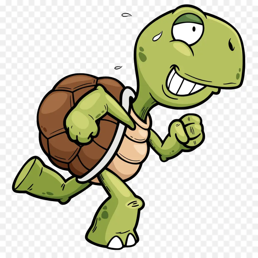 Tortuga，Reptiles PNG