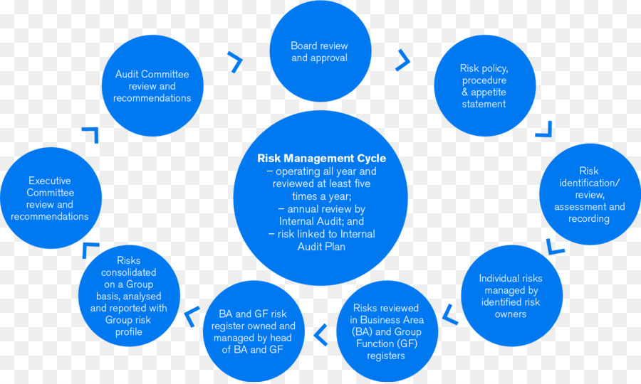 Organización，La Gestión Del Riesgo PNG