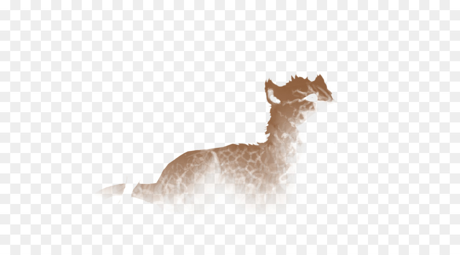 Ciervo，Llama PNG