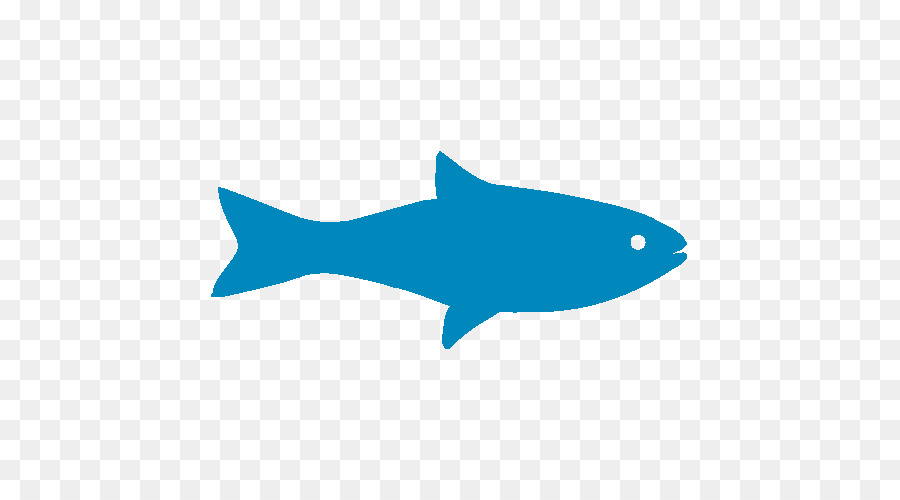 Iconos De Equipo，La Pesca PNG