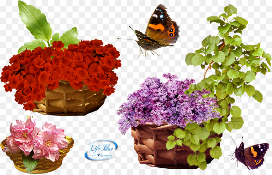 Flor，Descargar PNG