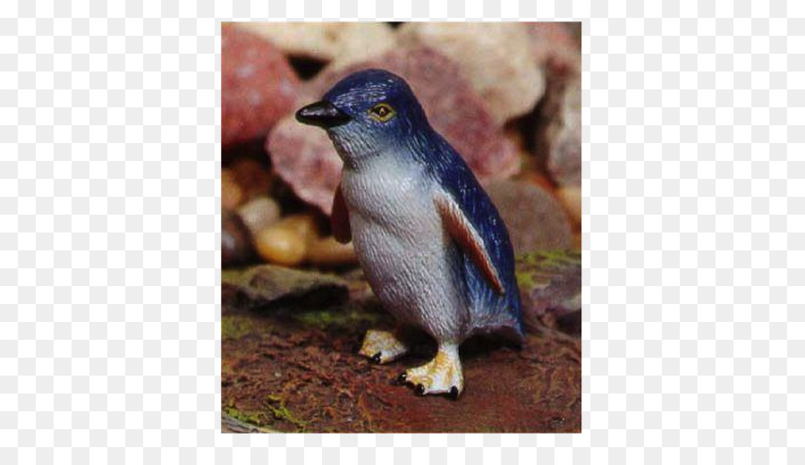 Penguin，El Ornitorrinco PNG