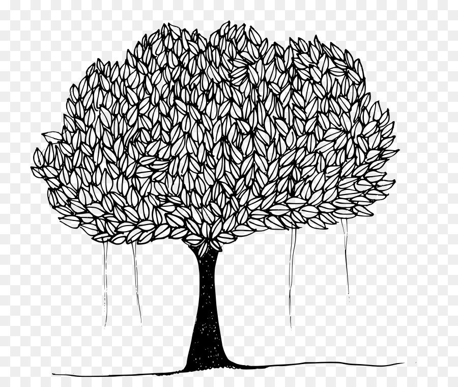 árbol，Ficus Religiosa PNG