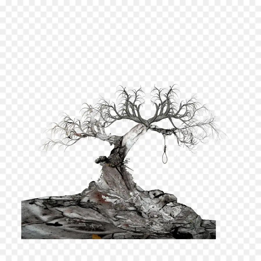 árbol Muerto，Sucursales PNG