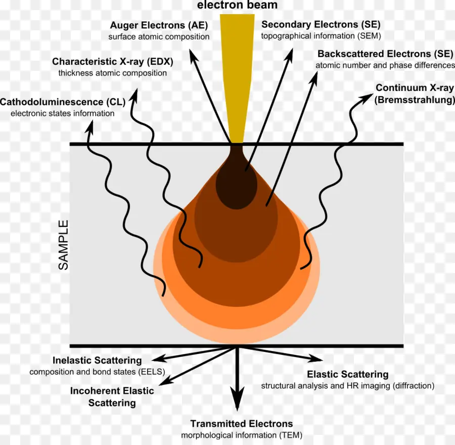 Microscopio Electrónico De Barrido，Microscopio Electrónico PNG