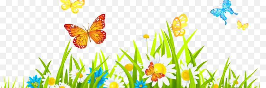 Mariposas Y Flores，Naturaleza PNG