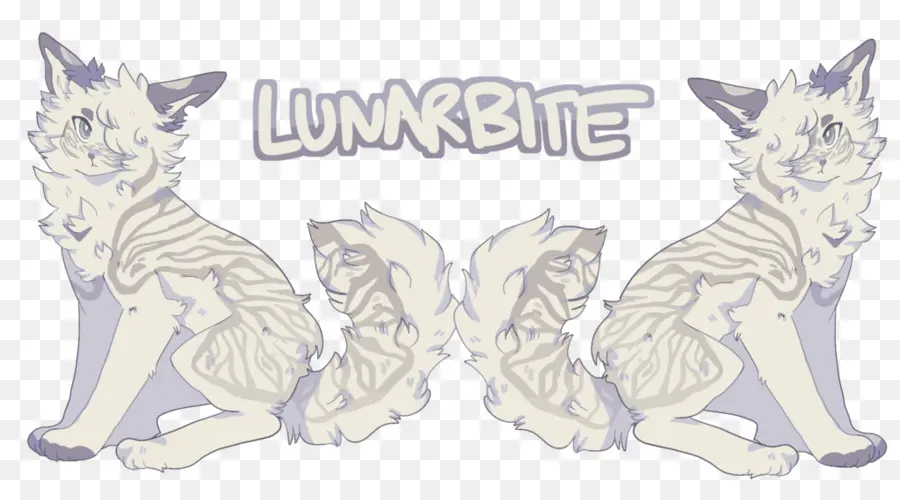 Gato，Lunarbita PNG