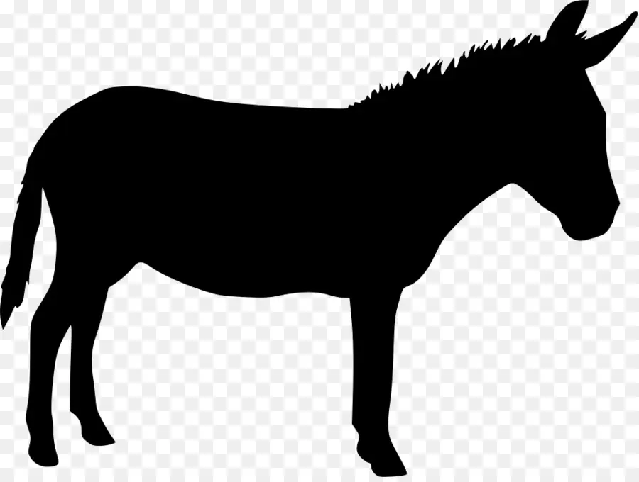 Burro，Iconos De Equipo PNG