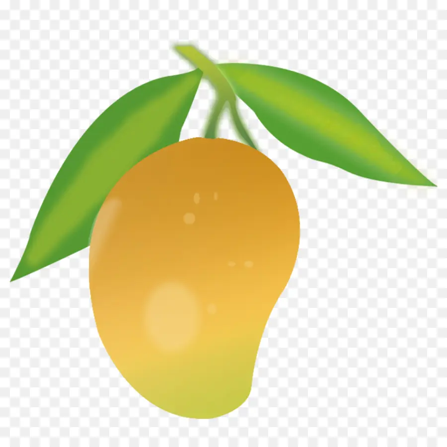 Mango，Mangifera Indica PNG