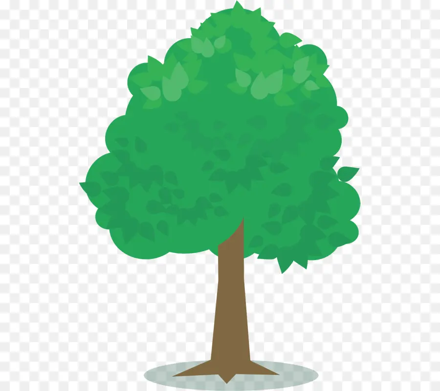 árbol Verde，Bosque PNG