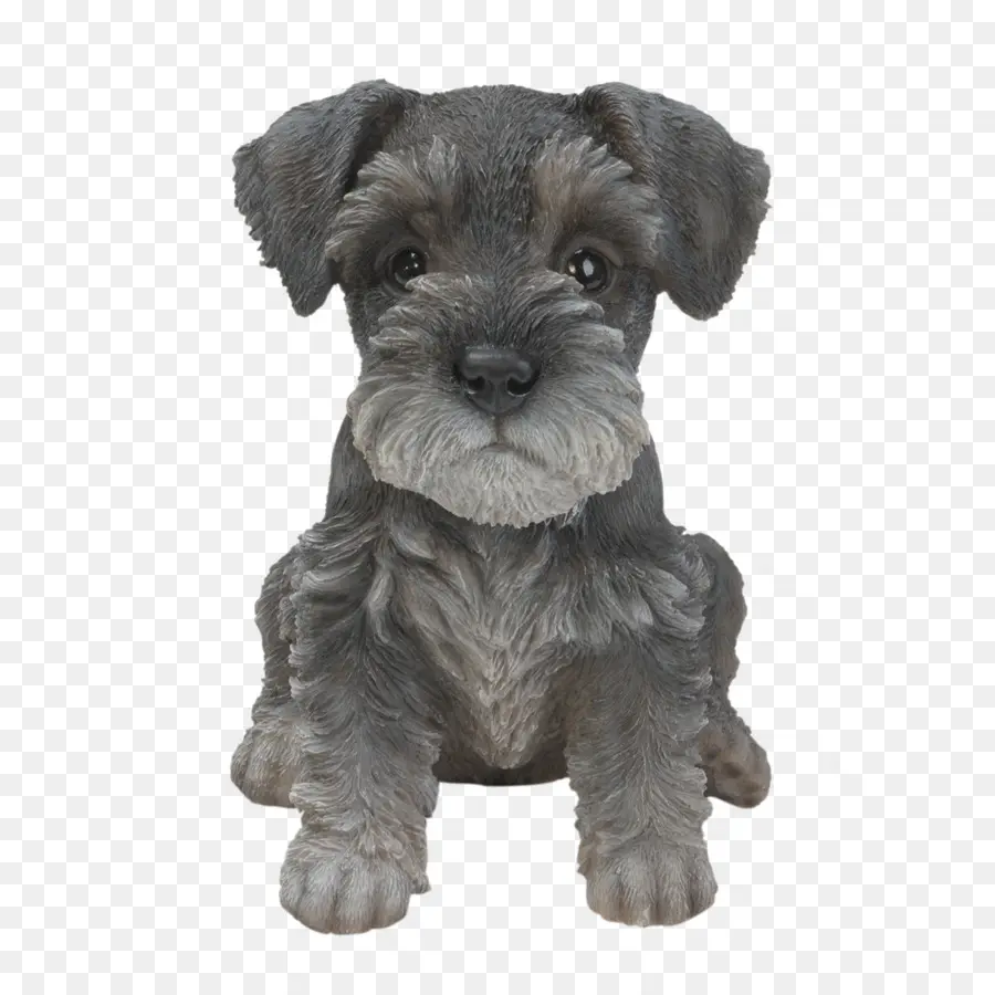 Cachorro，Lindo PNG