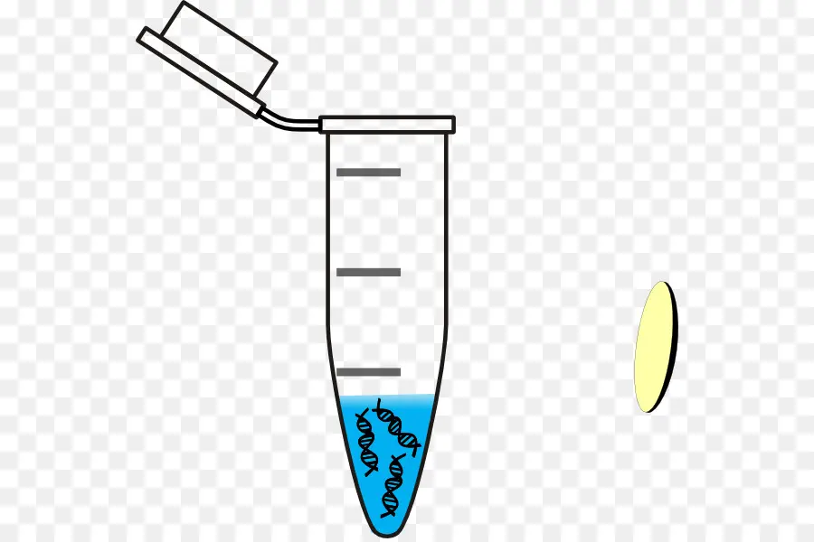 Centrífuga De Laboratorio，Adn PNG