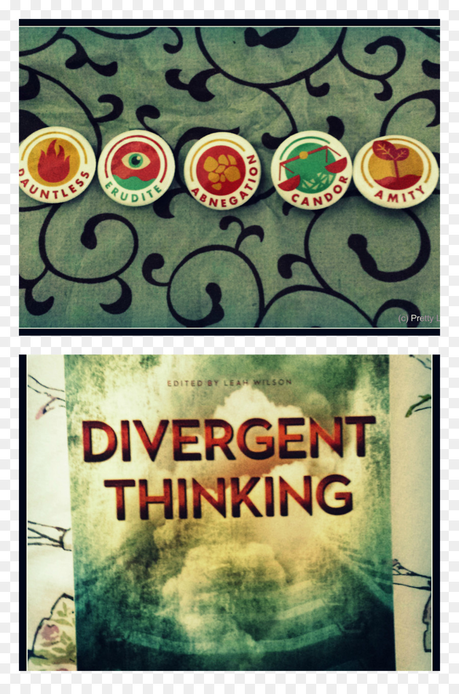 El Pensamiento Divergente Ya Los Autores De Veronica Roth Divergentes De La Trilogía，Publicidad PNG