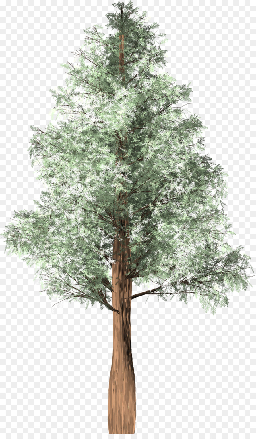 árbol Verde，Naturaleza PNG