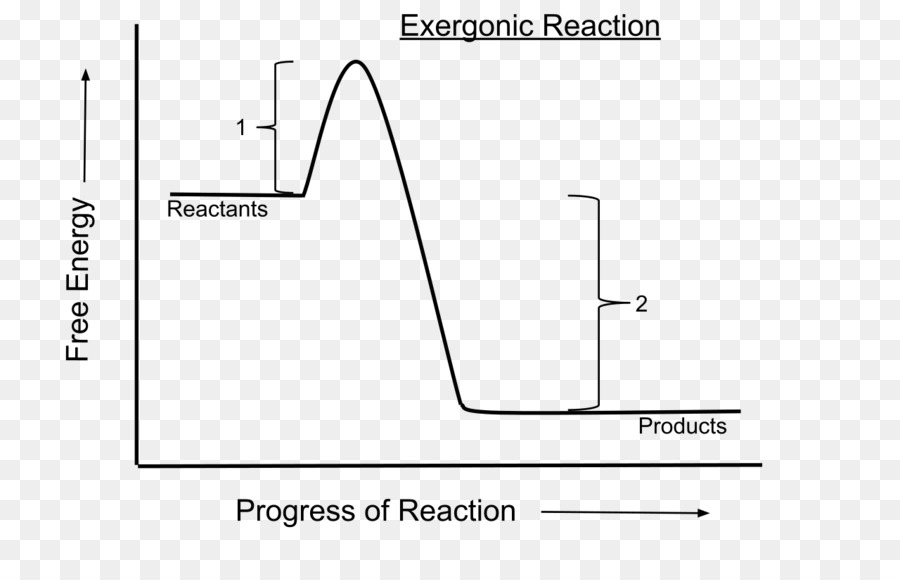 Reacción Exergónica，Energía Libre De Gibbs PNG