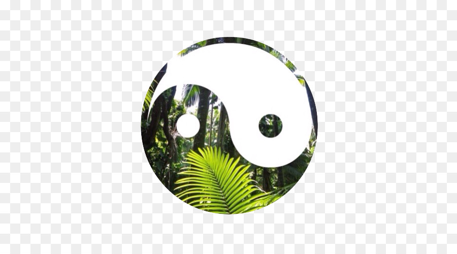 Yin Y Yang，Camiseta PNG