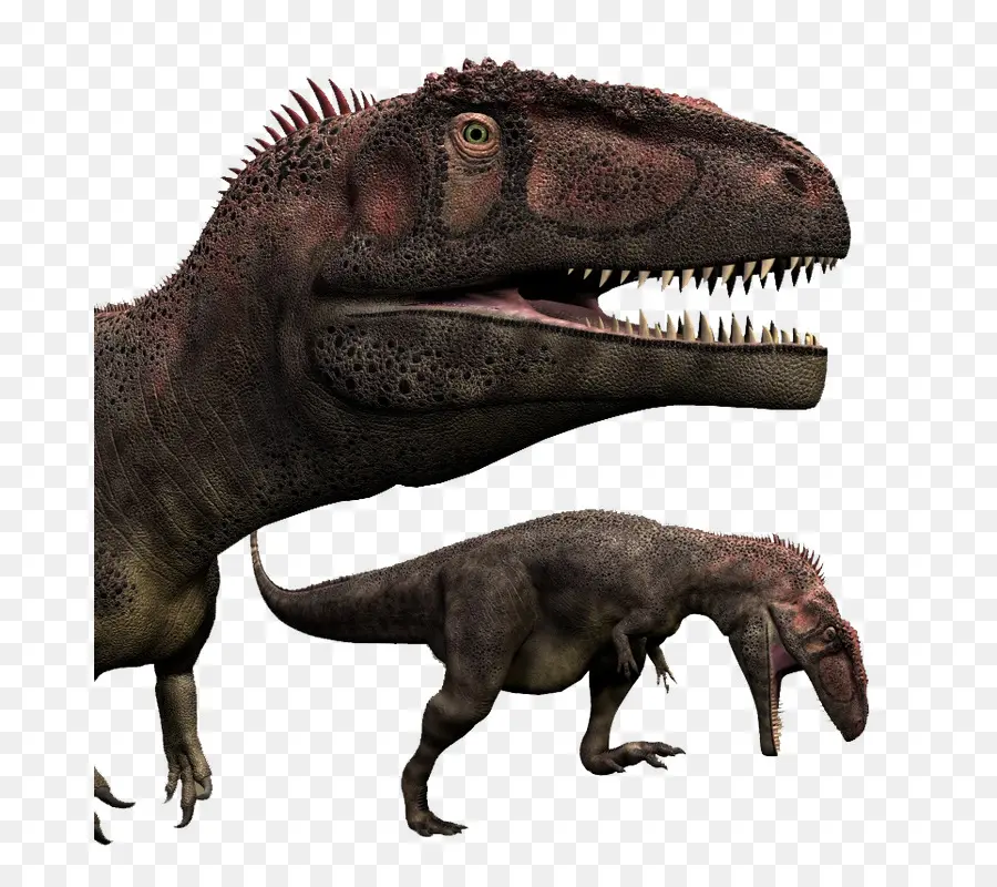 Tyrannosaurus，Mapusaurus PNG