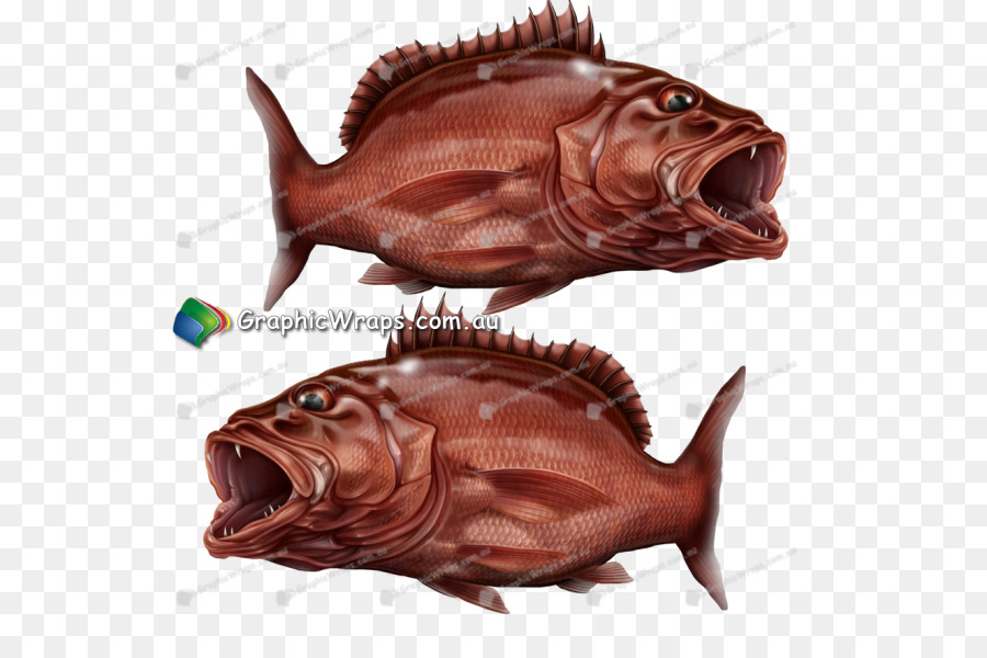 Los Peces，La Carpa PNG