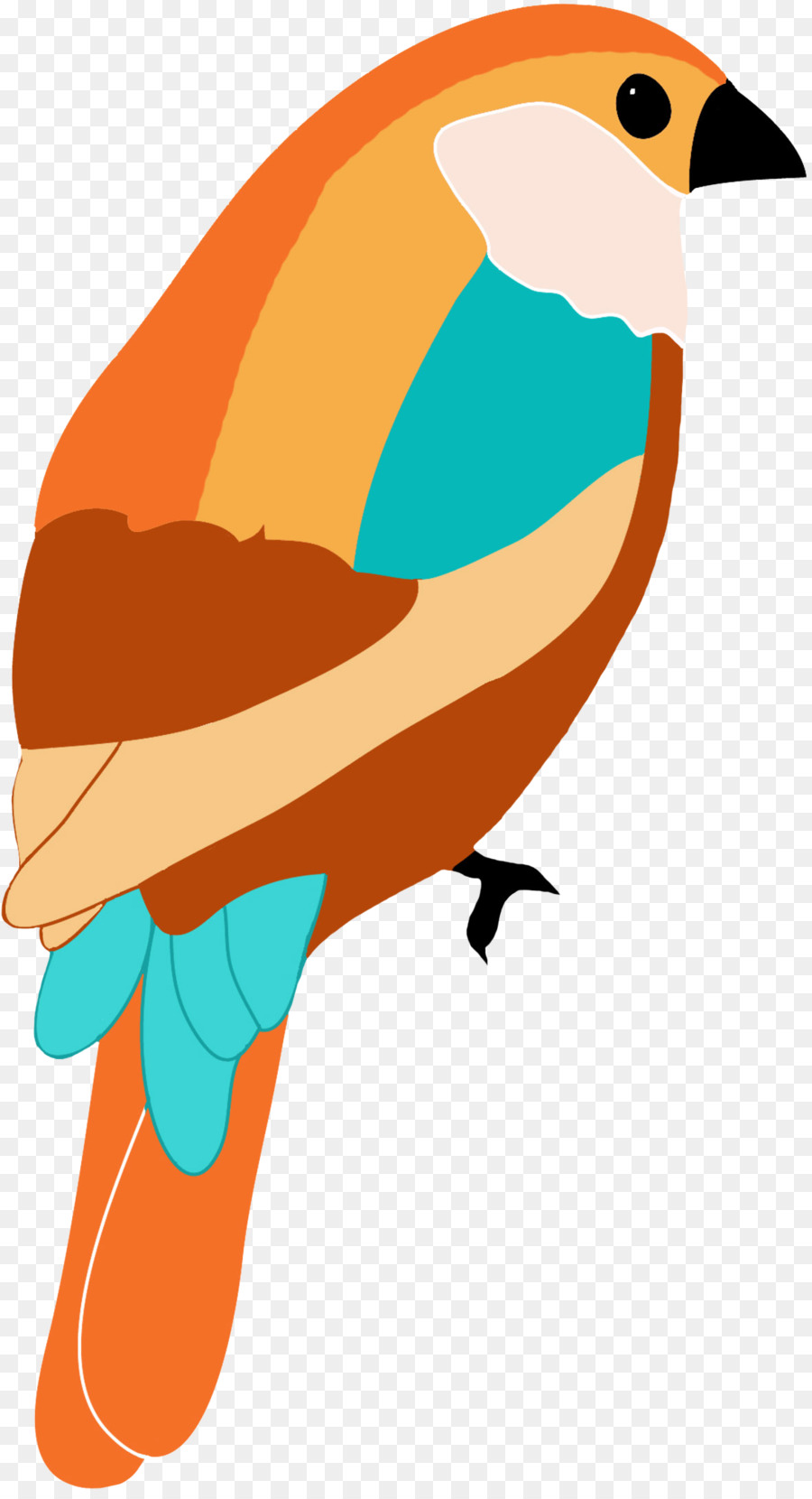 Pájaro，Colibrí PNG