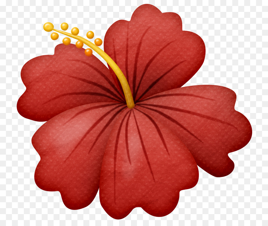 Flor，Dibujo PNG