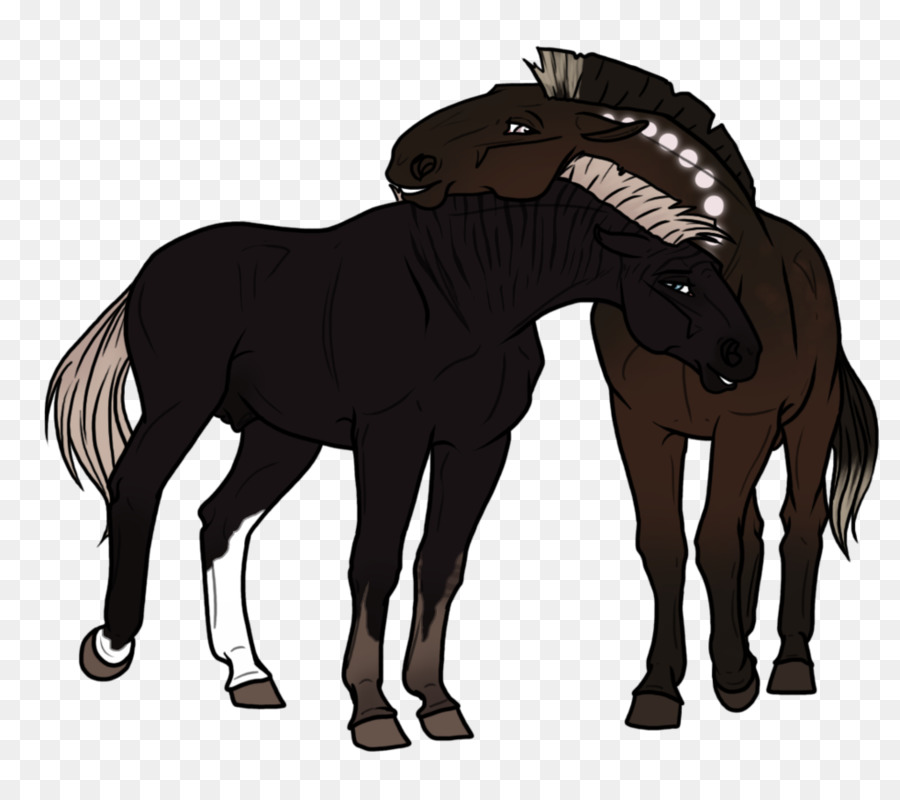 Caballos，Potro PNG