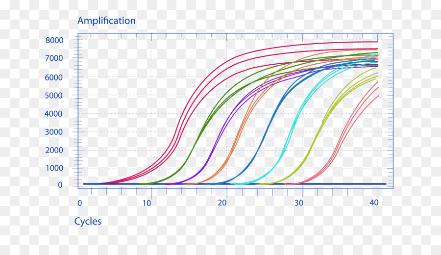 Gráfico De Amplificación，Pcr PNG