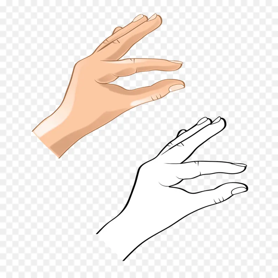 Gesto De La Mano，Mano PNG