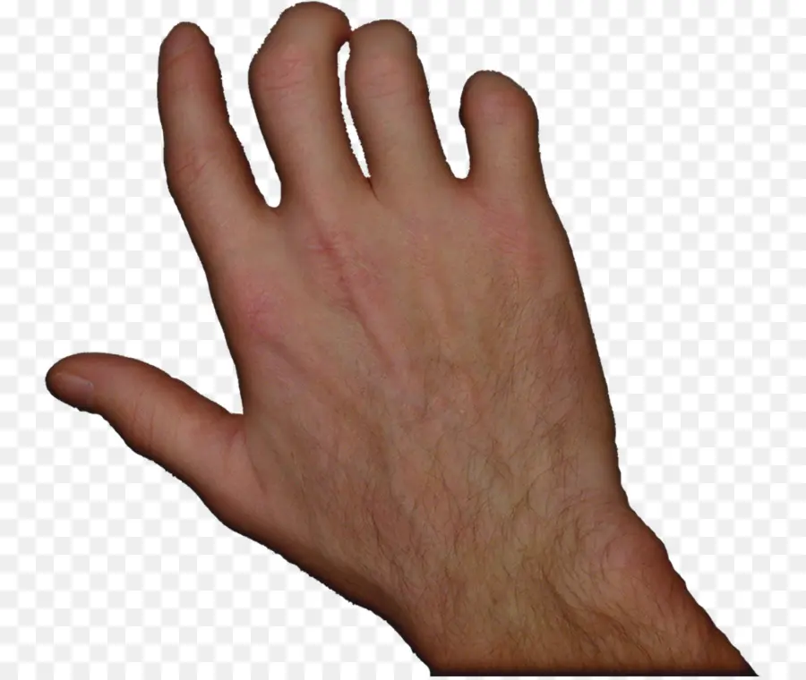 Pulgar，De La Mano PNG