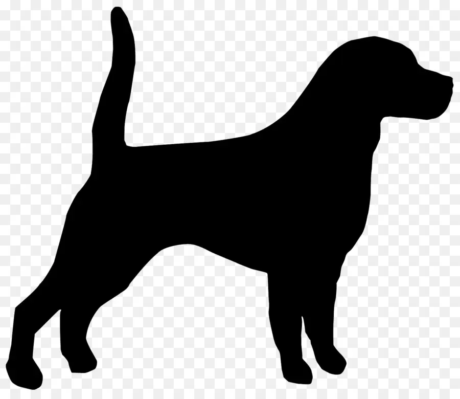 Beagle，Bloodhound PNG