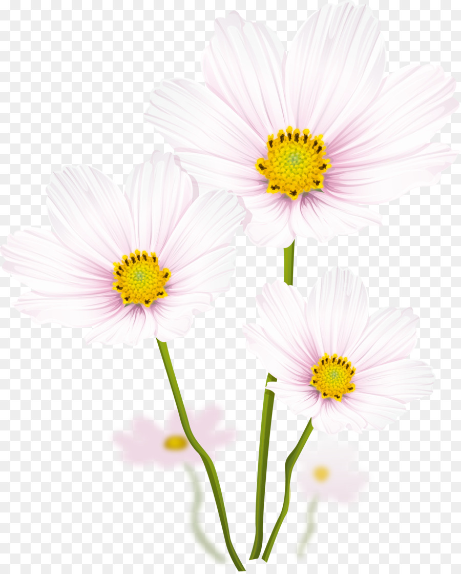 Flor，Dibujo PNG