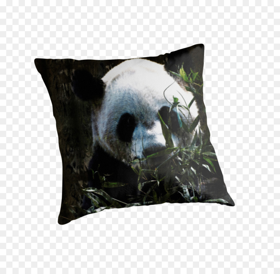 Panda Gigante，Oso PNG