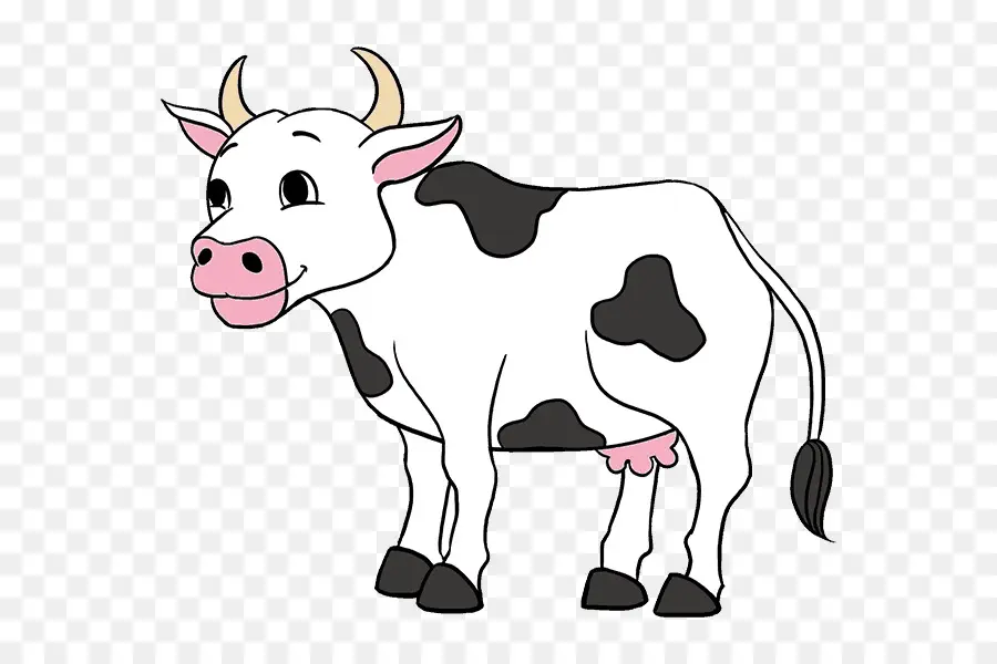 Texas Longhorn，Dibujo PNG