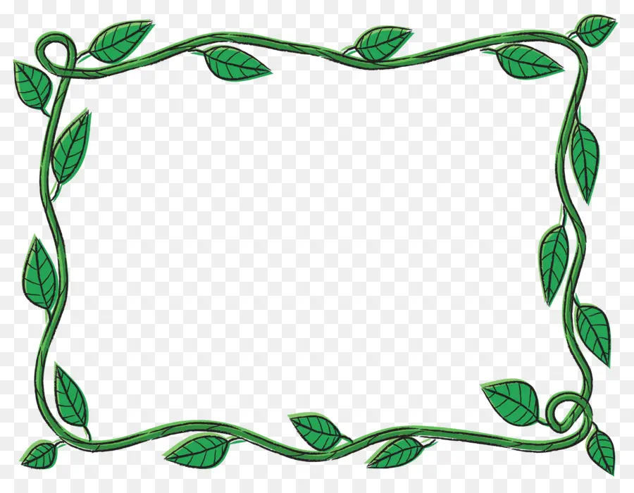 Frontera Frondosa，Marco PNG