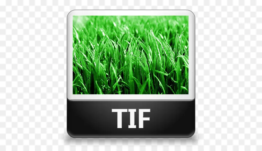 Tiff，Iconos De Equipo PNG