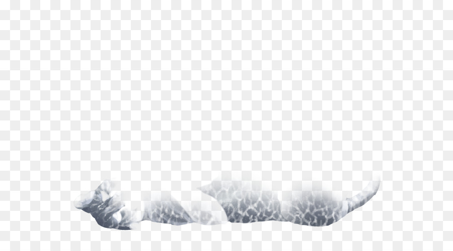 Blanco，Piel PNG