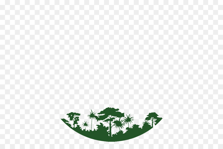 Planta，árbol PNG