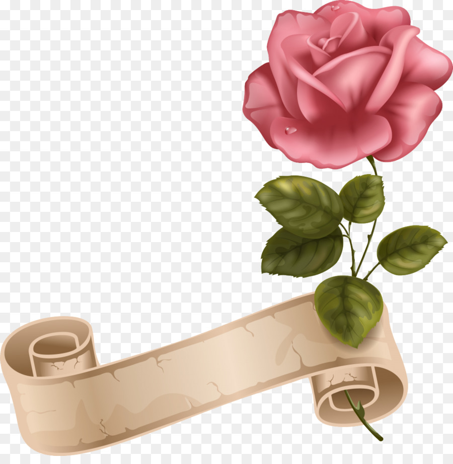 Rosa De La Playa，Color PNG