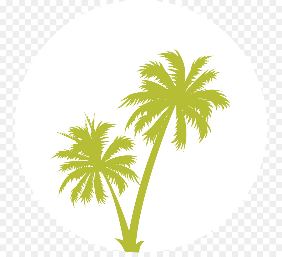 Arecaceae，árbol PNG