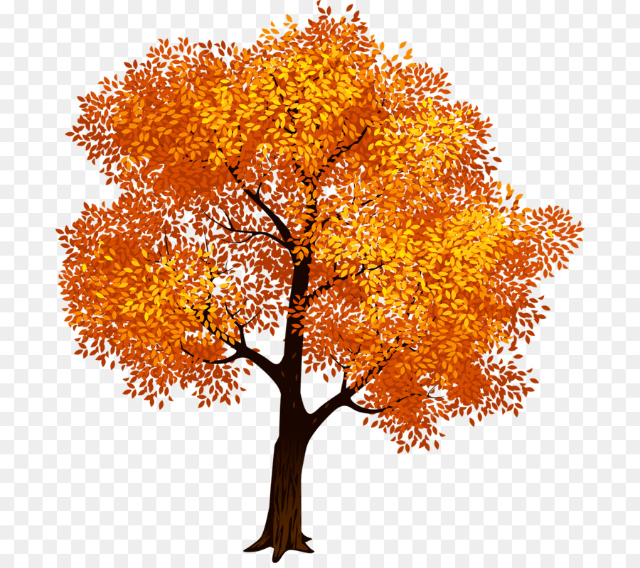 árbol，Otoño PNG