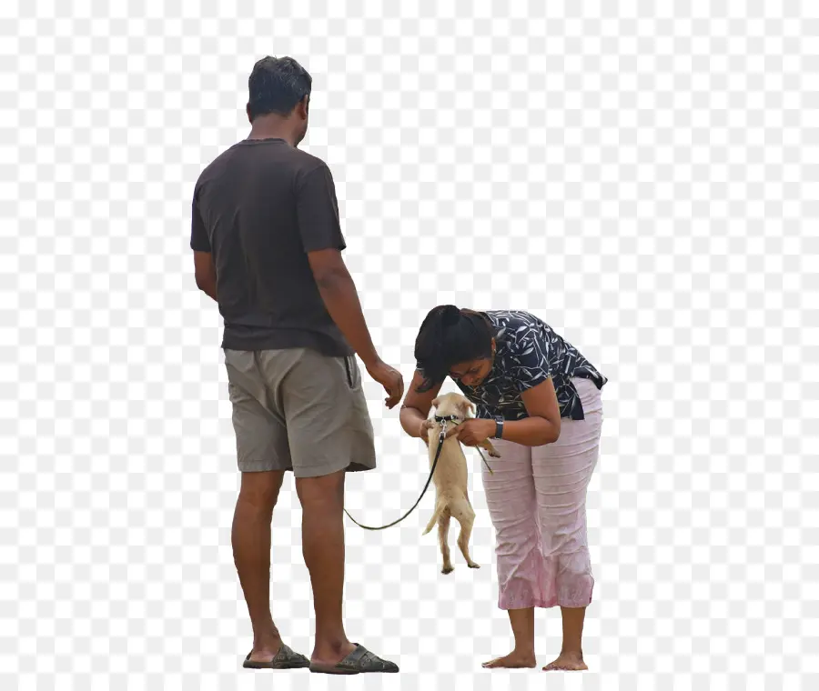 Perro，Perro Caminando PNG