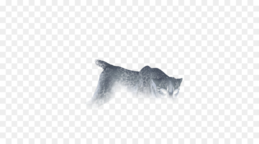 Gato，Bigotes PNG