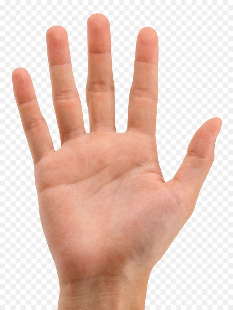 Dedo，De La Mano PNG